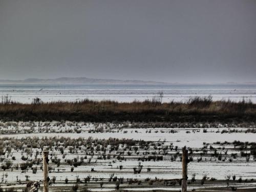Südblick 1Whg 4 in Werdum, Deutschland