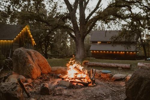 Romantic Forest Lovers Nest by Casa Oso in Bootjack (CA)