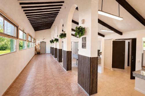 Kampaoh Mendigorría (Kampaoh Mendigorria) in Mendigorría