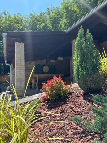Garden, East Mountain Villa - Private Nature Retreat in Baranja in Batina