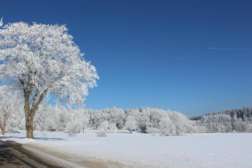 Penzion Fořtovna - image 3