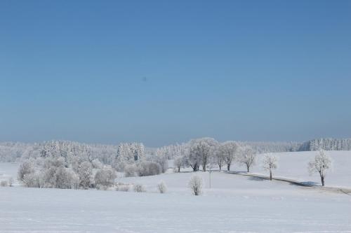 Penzion Fořtovna - image 14