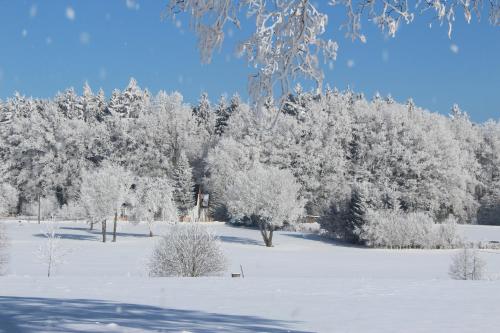 Penzion Fořtovna - image 4