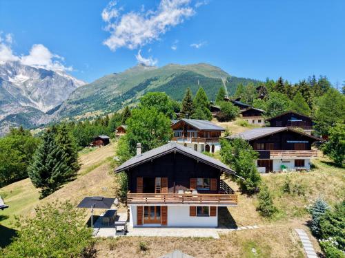 Chalet Montis