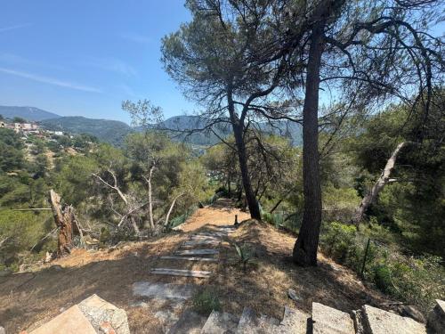 Vista/Panorama, Chez Antoinette et Jo in La Trinite