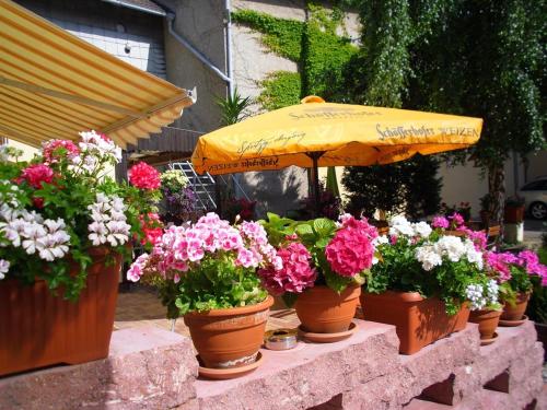 Hotel & Gasthaus Forelle 4