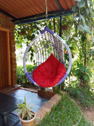 Iekārtas, The Dream in Shanivarasanthe