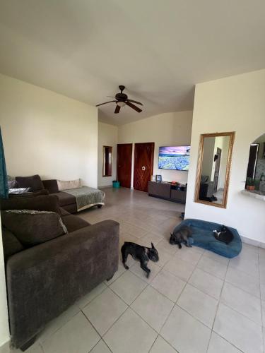 Beautiful Quiet Avacion House