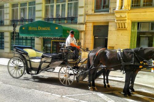 Hotel Domizil - image 2