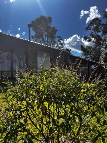 A szálláshely kívülről, Locanda di Lucca Pousada de Experiência (Locanda di Lucca Pousada de Experiencia) in Monte Belo Do Sul
