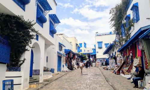 Sidi studio 8bis in Sidi Bou Said