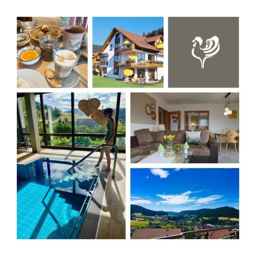 Goldener Hahn Residence Ferienwohnungen mit Infrarot Sauna, Panorama Aussicht & Pool, Frühstücksservice im Aparthotel in Baiersbronn, Deutschland
