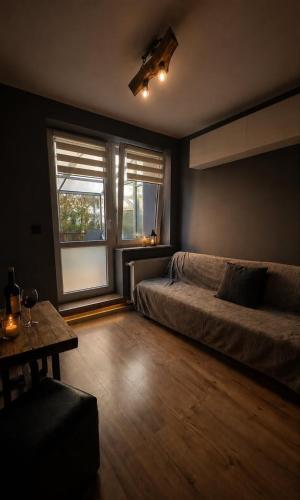 Blekitna Garden Studio