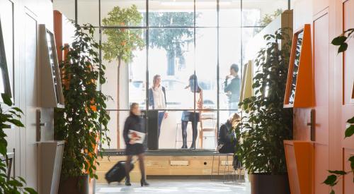 Bed & Boarding - image 3