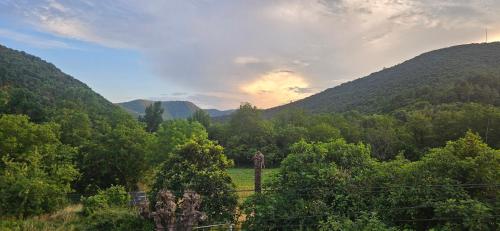 F2 au cœur des Cevennes B in Gagnieres