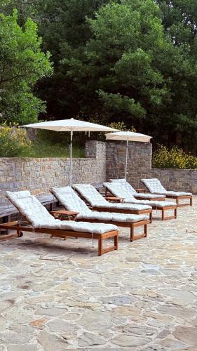 Luxury villa with infinity pool & vineyard views in Kastino