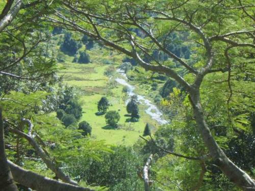 Maleny Tropical Retreat