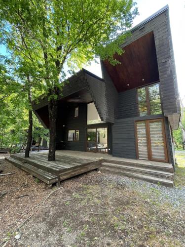 HT Las Trancas Valley Cabin in Coihueco