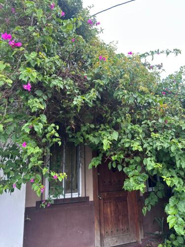 Hidden apartment in بكت