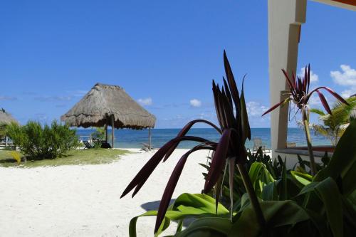 Mayan Beach Garden Inn In Mexico