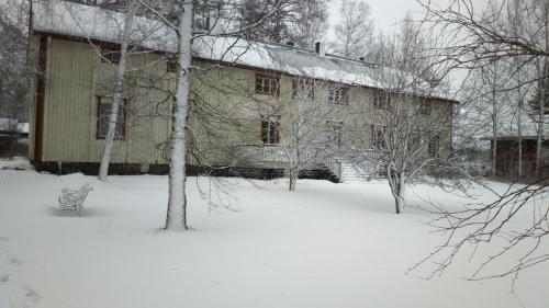 Metsolan pihapiiri - image 4