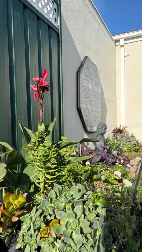 Garden, Tranquil Holiday Retreat in Saint Albans in St Albans