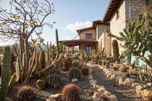 Relais Garden Cactus B&B