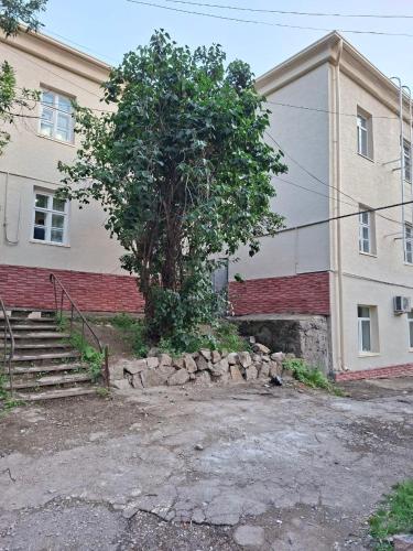 Flat in mountains in Yusufkhona