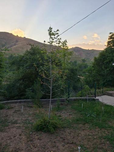 Flat in mountains in Yusufkhona