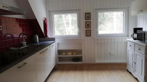 Kitchen, Jagdschloss 2. etage 4 personen in Silbach