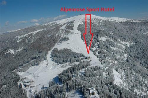 Hotel Alpenrose