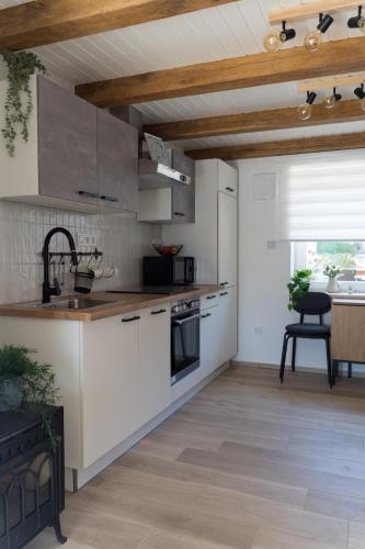 köök, MANNA Apartman - Gyékényes - tóparti nyaraló (MANNA Apartman - Gyekenyes - toparti nyaralo) in Gyékényes