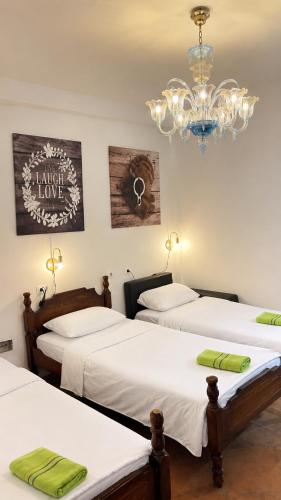 Hostel Backpacker in Ulcinj