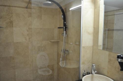 Transylvania Villa & Spa - image 7