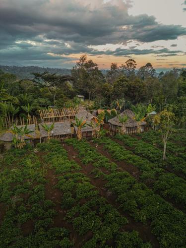 Kert, Asaro Mudman Cultural Lodge  in Goroka