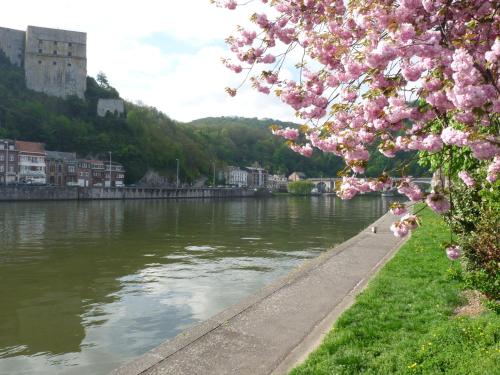  Hôtel du Fort, Huy bei Méan