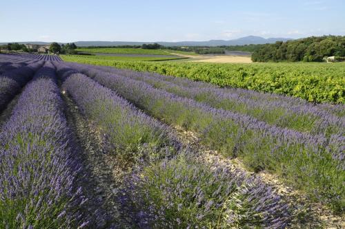 Ardeche - Gites Objectif Evasion - main image