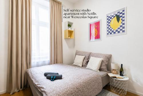 Cozy Studio Bella Near Wenceslas Square, Prague