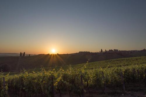 89085435 Hotel Belvedere Di San Leonino