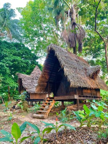 Jungle Cabin - Satori Natural