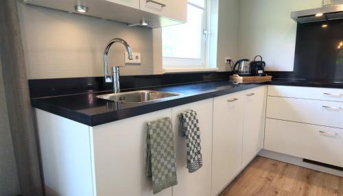 Kitchen, Villapark Wulpdal | Villa De Zeehond in Verspreide huizen Scherpenisse