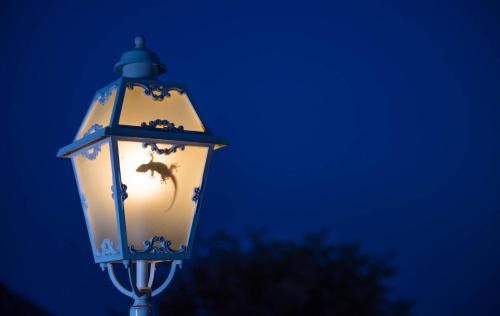 Romantic Hotel & Restaurant Villa Cheta Elite