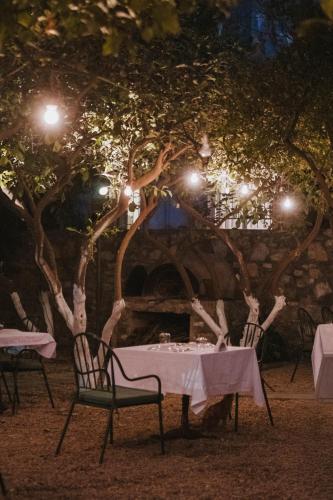 Boleka Bodrum – Bodrum, MI