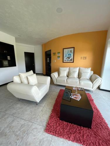 Apartment with Pool, Gym & A/C