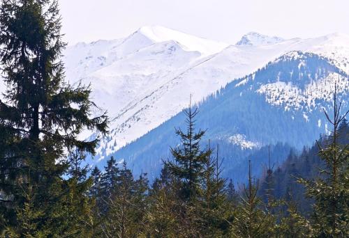 Top Hostel Pokoje Goscinne in Zakopane