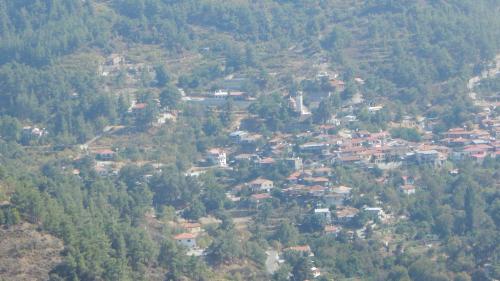 Flora's House - image 14