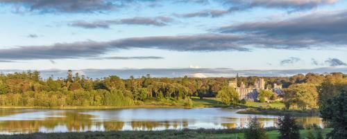 The Inn at Dromoland - image 4