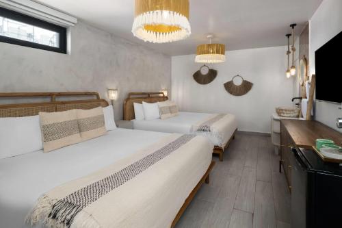 2 queen beds