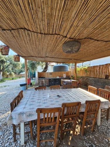 مطبخ, Ruina Glamping in شوكيرتمي