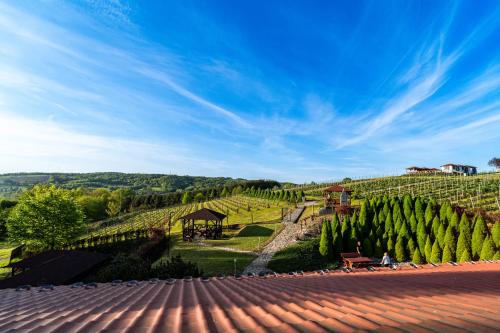 Hotel Winnica Maria Anna - Lubenia